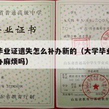 大学毕业证遗失怎么补办新的（大学毕业证丢了补办麻烦吗）