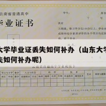 山东大学毕业证丢失如何补办（山东大学毕业证丢失如何补办呢）