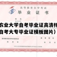 新疆农业大学自考毕业证高清样图（新疆自考大专毕业证模板图片）