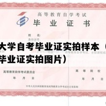 汕头大学自考毕业证实拍样本（广东自考毕业证实拍图片）