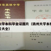 扬州大学本科毕业证图片（扬州大学本科毕业证图片大全）