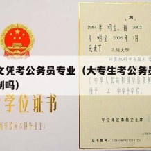 大专文凭考公务员专业（大专生考公务员有专业限制吗）