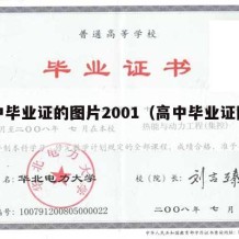 高中毕业证的图片2001（高中毕业证图样）