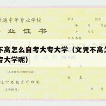 文凭不高怎么自考大专大学（文凭不高怎么自考大专大学呢）