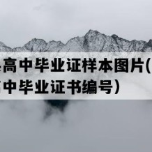 安乡县高中毕业证样本图片(九十年代老高中毕业证书编号）