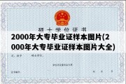 2000年大专毕业证样本图片(2000年大专毕业证样本图片大全)