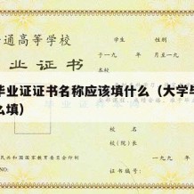 大学毕业证证书名称应该填什么（大学毕业证书怎么填）