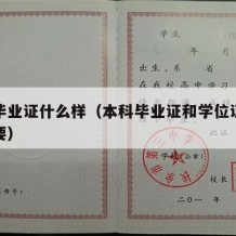 本科毕业证什么样（本科毕业证和学位证书哪个重要）