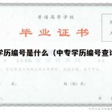 中专学历编号是什么（中专学历编号查询系统）