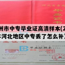 深州市中专毕业证高清样本(2006年河北地区中专丢了怎么补）