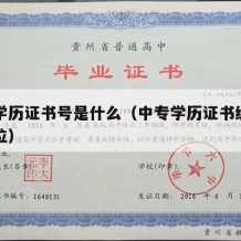 中专学历证书号是什么（中专学历证书编号是多少位）