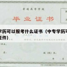 中专学历可以报考什么证书（中专学历可以考什么证件）