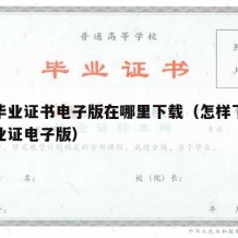 大学毕业证书电子版在哪里下载（怎样下载大学毕业证电子版）