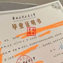 毕业证丢了怎么证明学历(大学毕业证丢了怎么证明学历)