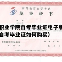 济南职业学院自考毕业证电子版图（山东自考毕业证如何购买）