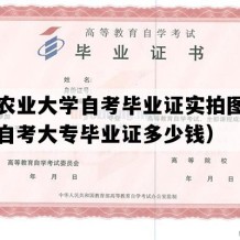 吉林农业大学自考毕业证实拍图片（吉林自考大专毕业证多少钱）