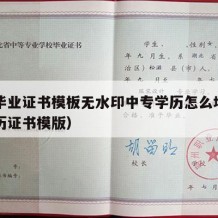 中专毕业证书模板无水印中专学历怎么填（中专学历证书模版）