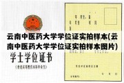 云南中医药大学学位证实拍样本(云南中医药大学学位证实拍样本图片)