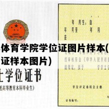 吉林体育学院学位证图片样本(硕士学位证样本图片)