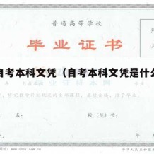 关于自考本科文凭（自考本科文凭是什么意思）