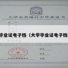 大学毕业证电子档（大学毕业证电子档下载）