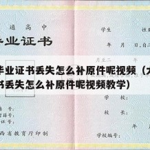 大学毕业证书丢失怎么补原件呢视频（大学毕业证书丢失怎么补原件呢视频教学）