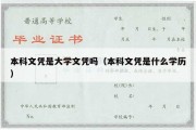 本科文凭是大学文凭吗（本科文凭是什么学历）