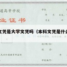 本科文凭是大学文凭吗（本科文凭是什么学历）