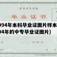 1994年本科毕业证图片样本(1994年的中专毕业证图片)