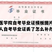 皖南医学院自考毕业证模板图片（安徽成人自考毕业证丢了怎么补办）