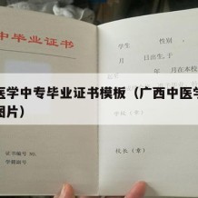 广西医学中专毕业证书模板（广西中医学院毕业证图片）