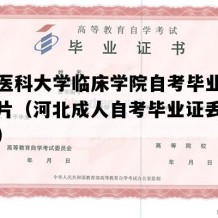 河北医科大学临床学院自考毕业证高清图片（河北成人自考毕业证丢失怎么办）