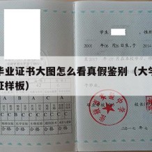 本科毕业证书大图怎么看真假鉴别（大学本科毕业证样板）