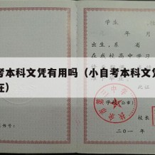 小自考本科文凭有用吗（小自考本科文凭有用吗现在）