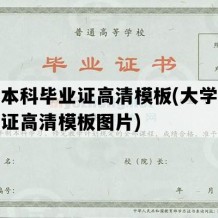 大学本科毕业证高清模板(大学本科毕业证高清模板图片)