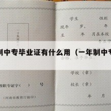 一年制中专毕业证有什么用（一年制中专学历）