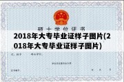 2018年大专毕业证样子图片(2018年大专毕业证样子图片)