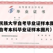 湖北民族大学自考毕业证样本图片（湖北自考本科毕业证样本图片）