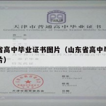 山东省高中毕业证书图片（山东省高中毕业证书图片）