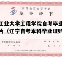 沈阳工业大学工程学院自考毕业证高清图片（辽宁自考本科毕业证购买价格）