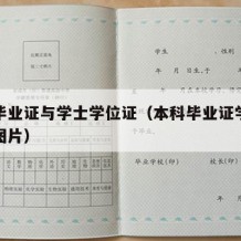 本科毕业证与学士学位证（本科毕业证学士学位证图片）