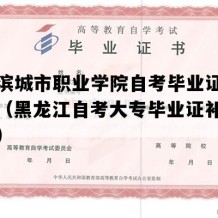 哈尔滨城市职业学院自考毕业证实拍图片（黑龙江自考大专毕业证补办多少钱）