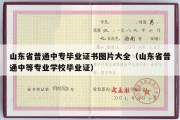 山东省普通中专毕业证书图片大全（山东省普通中等专业学校毕业证）