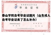 泰山学院自考毕业证图片（山东成人自考毕业证丢了怎么补办）