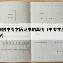 怎样辨别中专学历证书的真伪（中专学历怎么辩真假）