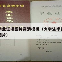 大学毕业证书图片高清模板（大学生毕业证书照片图片）