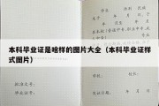 本科毕业证是啥样的图片大全（本科毕业证样式图片）