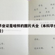 本科毕业证是啥样的图片大全（本科毕业证样式图片）