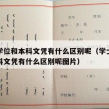 学士学位和本科文凭有什么区别呢（学士学位和本科文凭有什么区别呢图片）