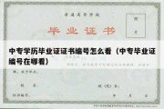 中专学历毕业证证书编号怎么看（中专毕业证编号在哪看）